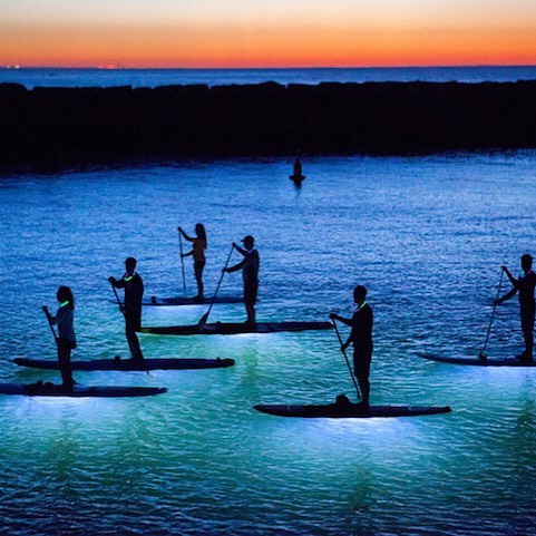 paddleboard adventures paddleboard at night