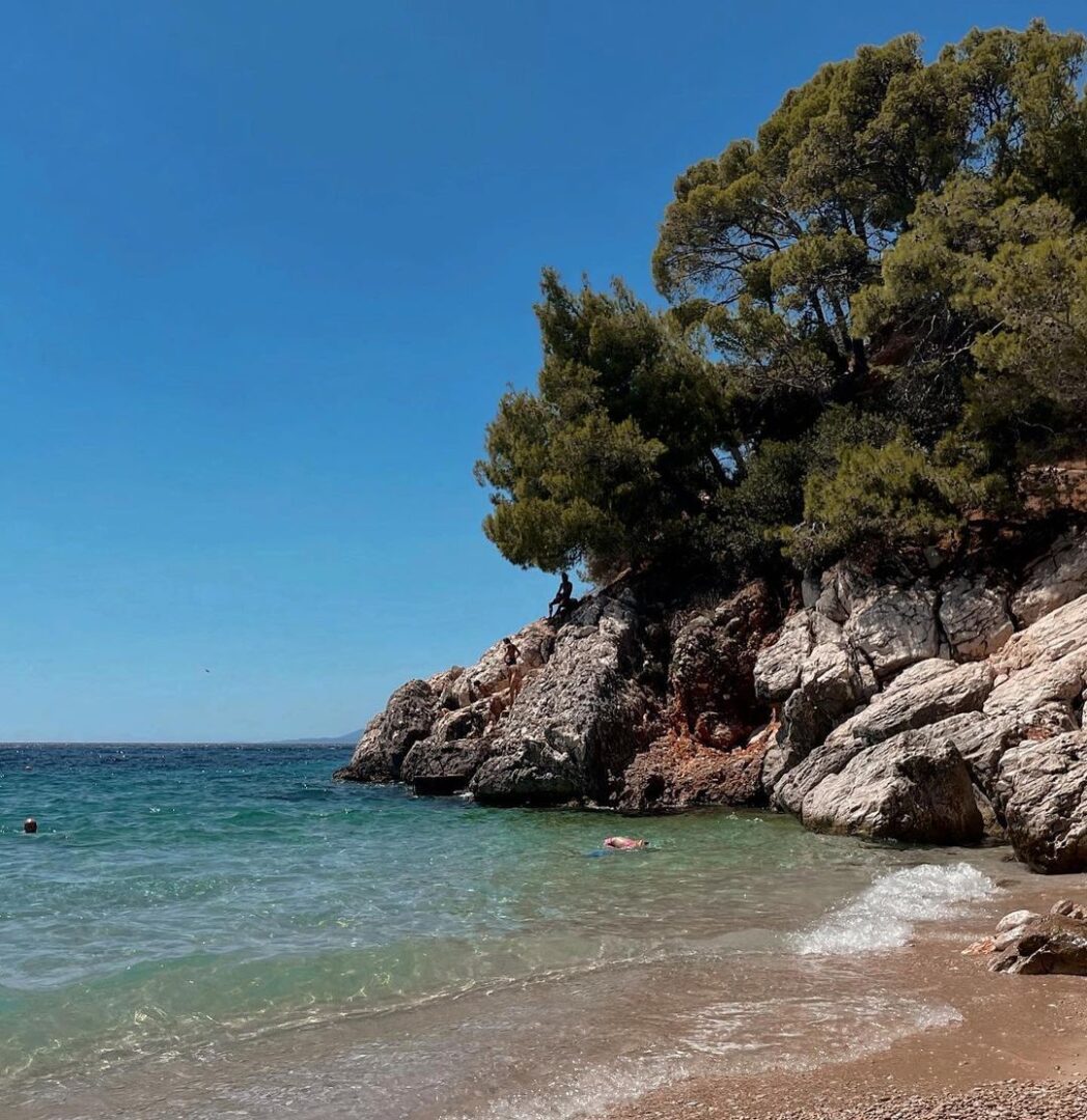 Jagodna beach is certnaly one of the best beaches in Croatia