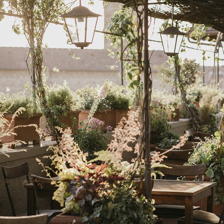 A rustic veranda of a non-Michelin restaurant in Croatia